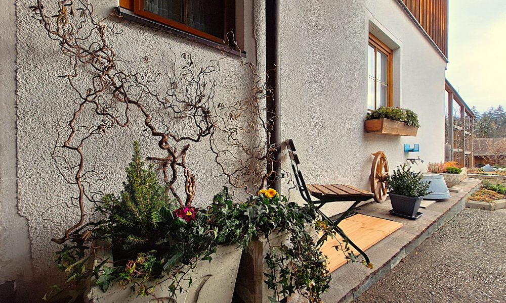 Petra Huber Immobilien TIROL